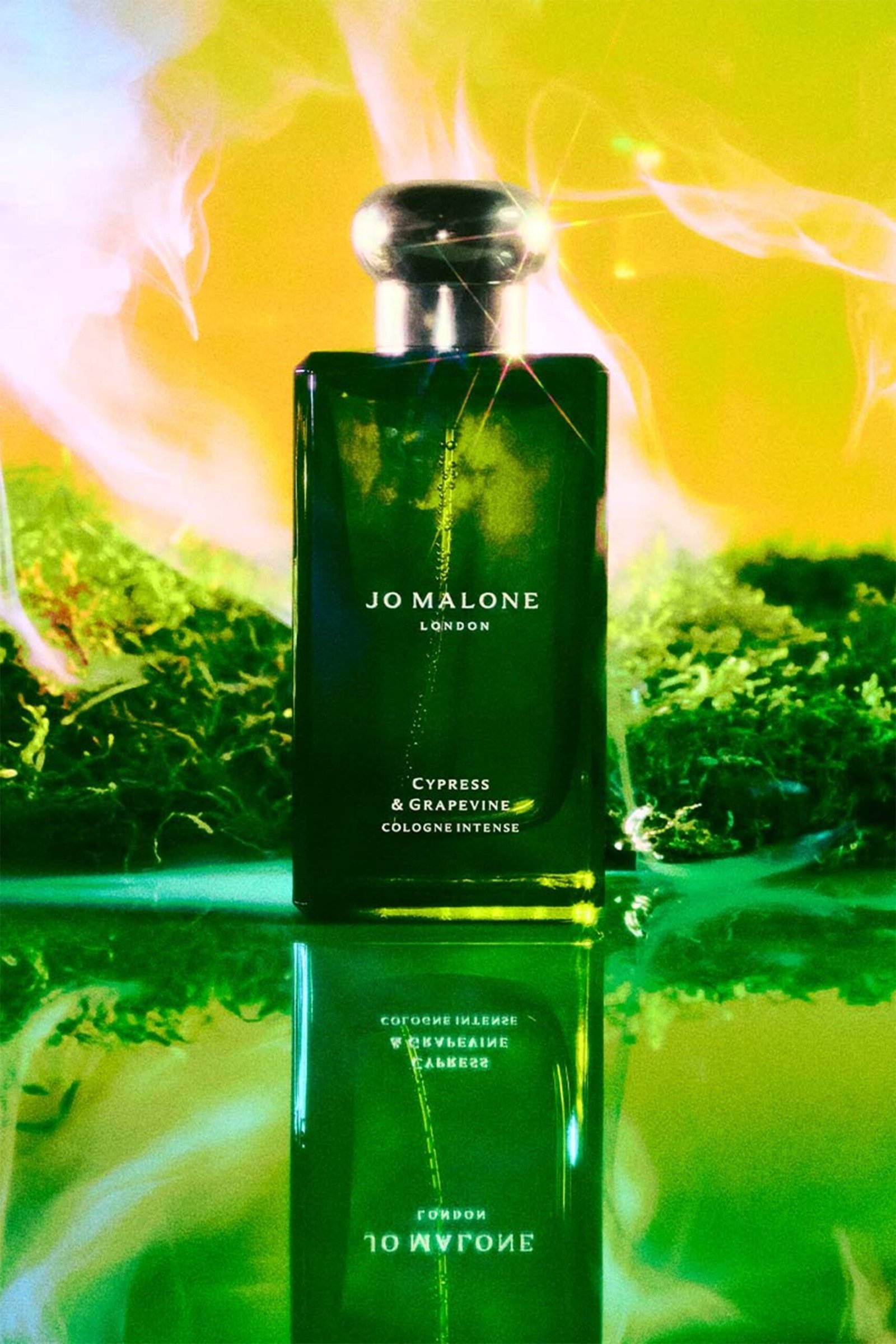 216076309_E1 Cypress & Grapevine Cologne Intense Eau de Parfum - Image 1