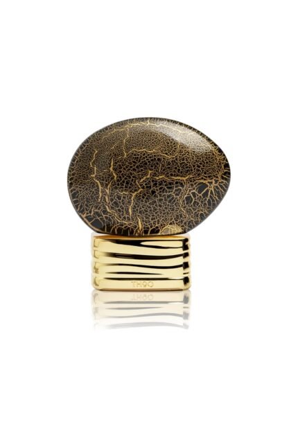 عطر ذا هاوس أوف عود بليسينغ سايلنس أو دو بارفان